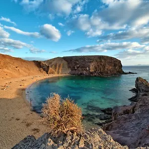 https://apartmento-juana-3.puertodelcarmen-hotels.org